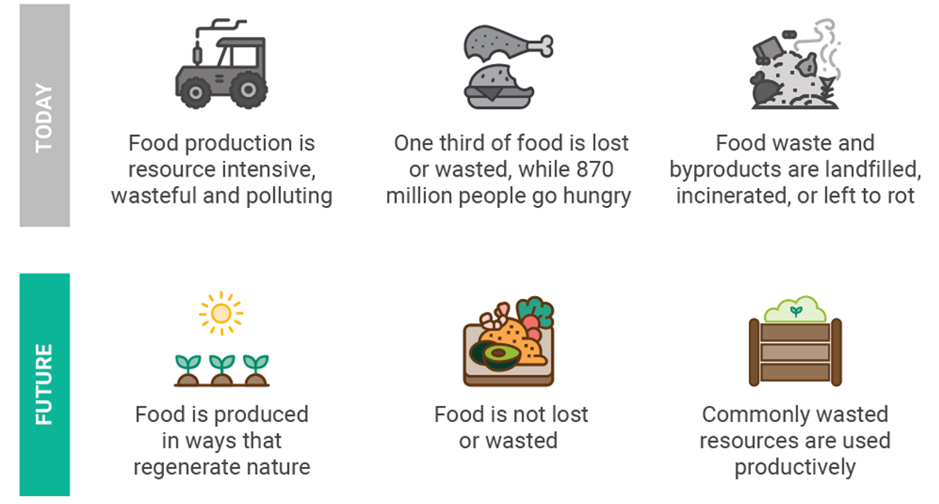 Illustration depicting a more sustainable food future. 