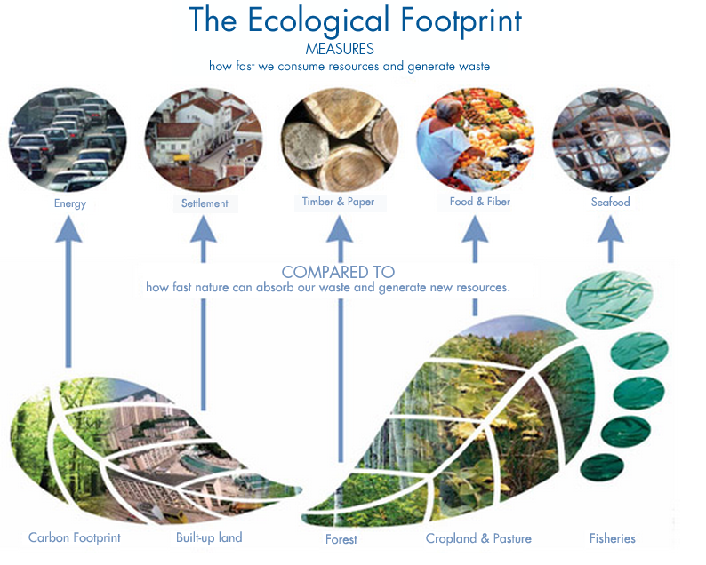 Footprint-highres