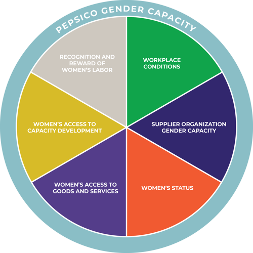 PepsiCo-Gender-Capacity Chart