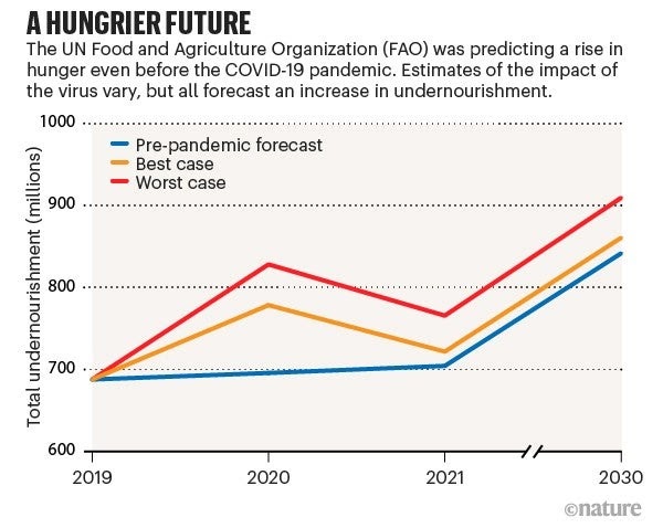 food-security-and-a-sustainable-global-food-system