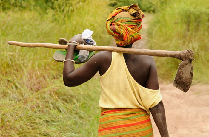 Women’s Empowerment in Agriculture