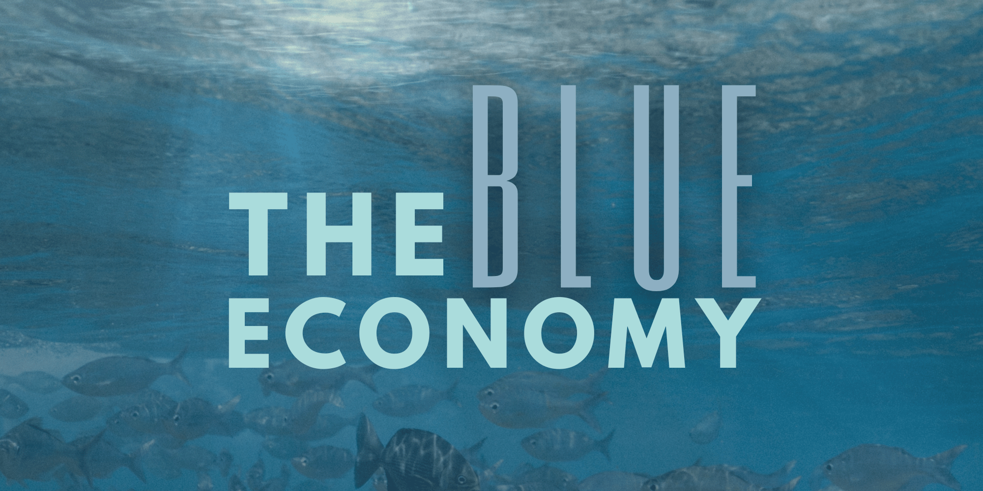 What is the Blue Economy?