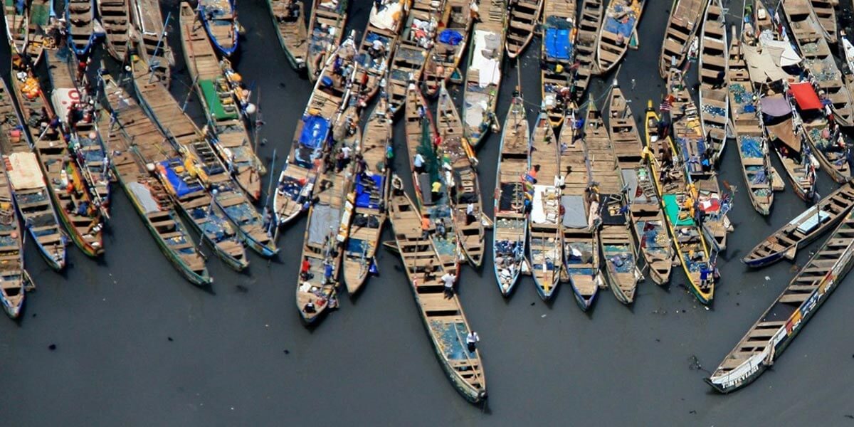 5 Sustainable Seafood Trends in 2022