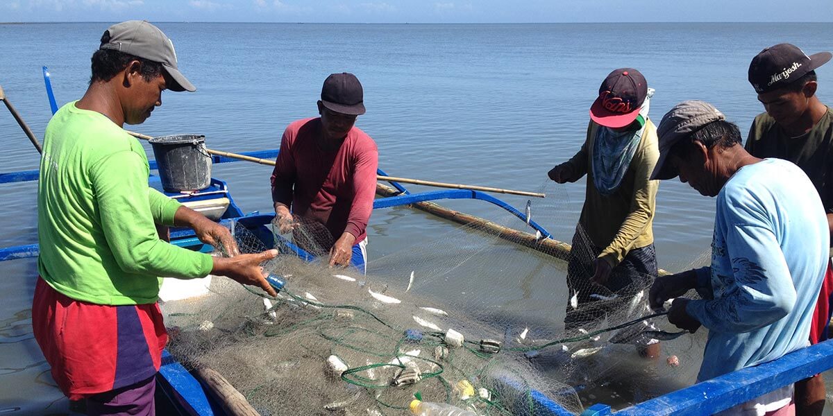 Local fishers leveraging the Philippines’ growing demand for sustainable seafood.