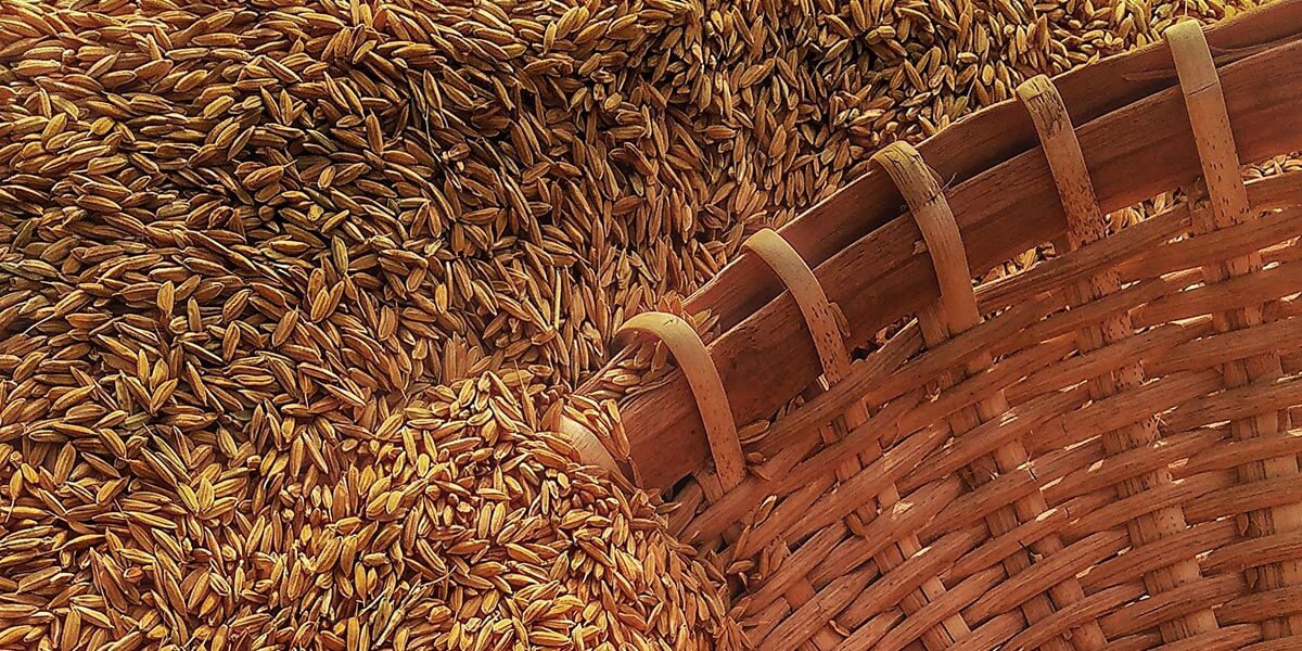 Grains of rice in basket-2