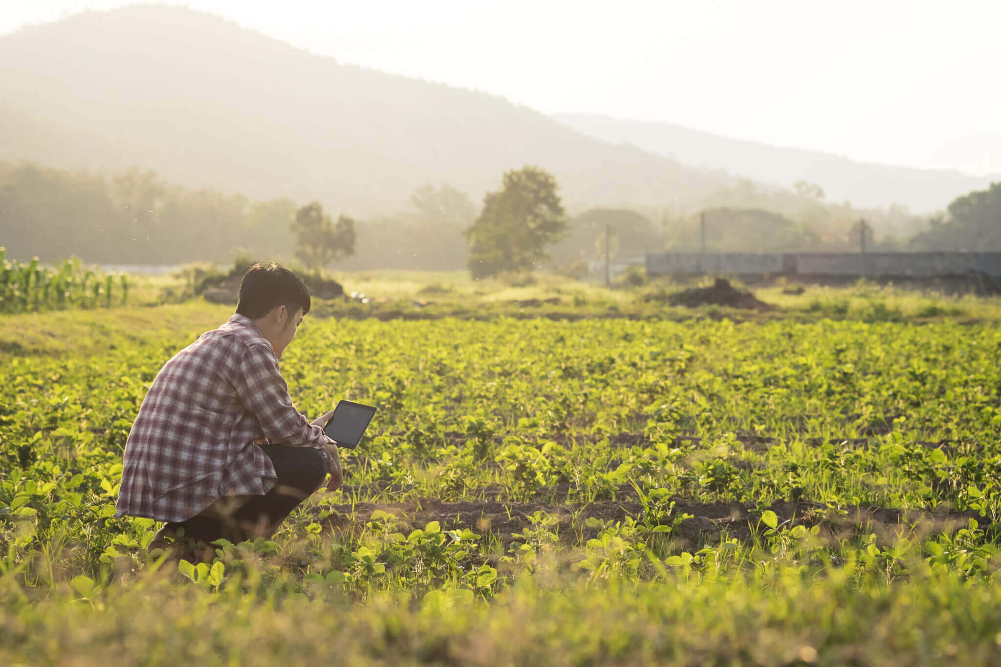 Young farmer in field practicing sustainable farming techniques 