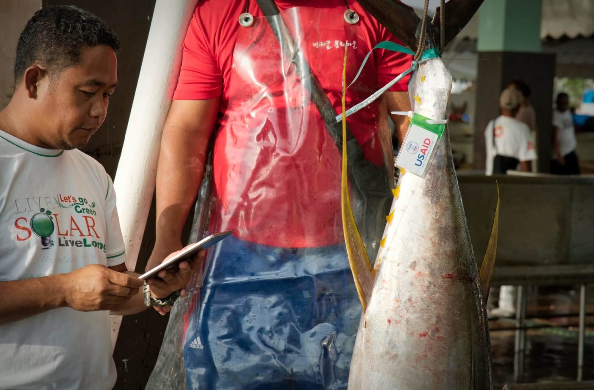 usaid oceans fisherman examining a fish