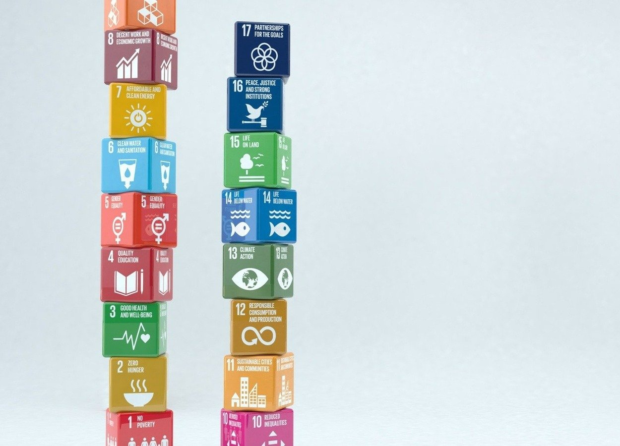 6 Priority UN Sustainable Development Goals for Company Action in 2022