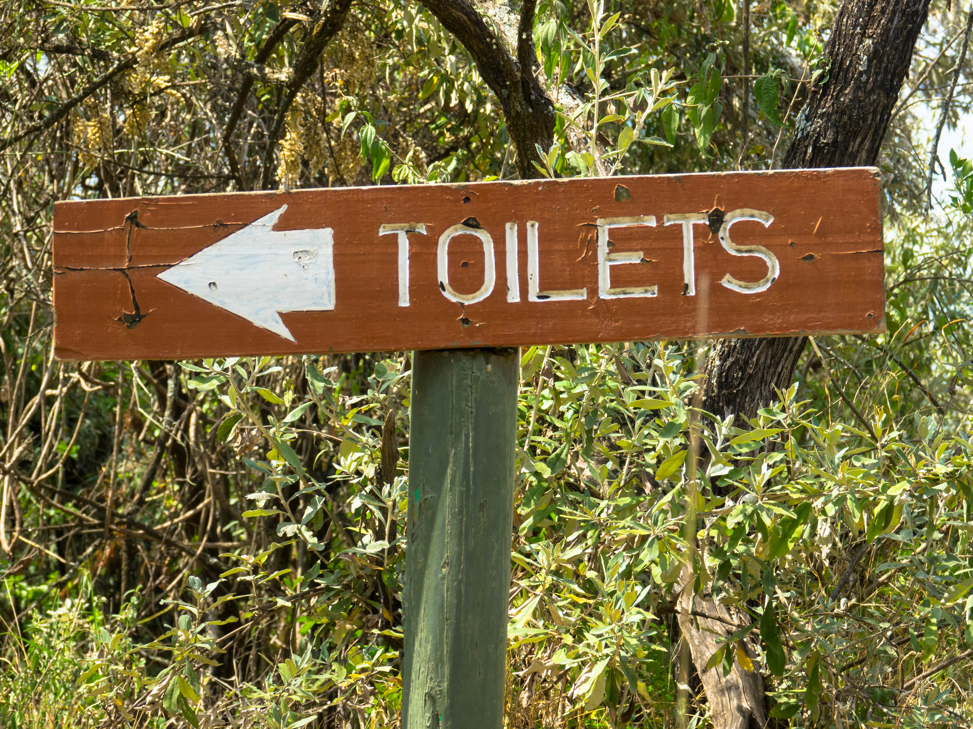 Cost-effective sanitation infrastructure built by the private sector in a sparsely populated rural area.