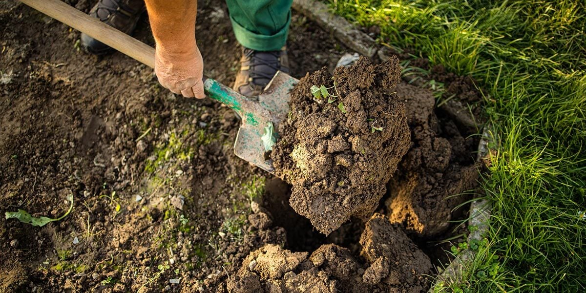 A farmer using regenerative agriculture to help unlock corporate sustainable impact. 