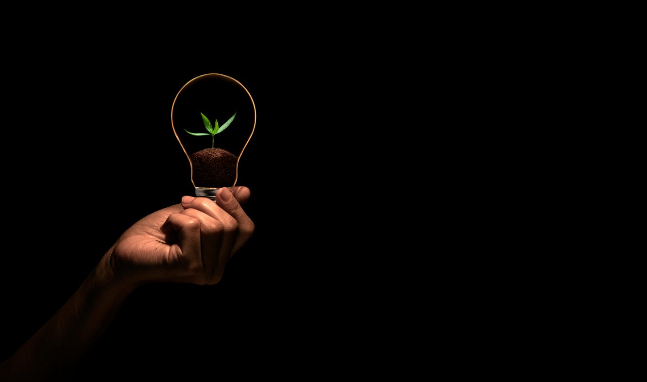 Lightbulb with plant inside showcases open innovation and corporate sustainability trends this new year.