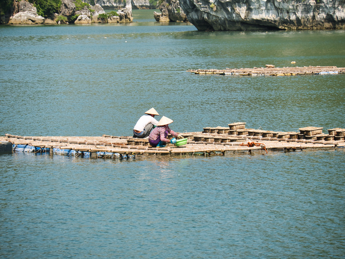 Two fisherfolk in Vietnam working on aquaculture following the partnership assurance model 