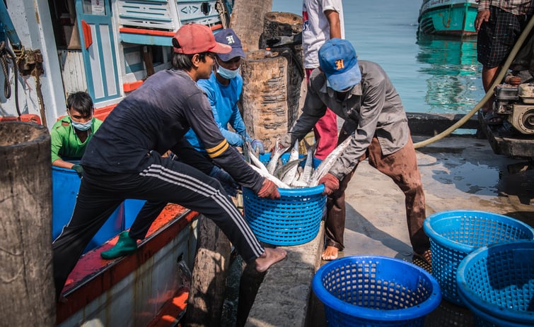 Promoting Fair Labor for Migrant Workers in Thailand’s Seafood Supply Chain