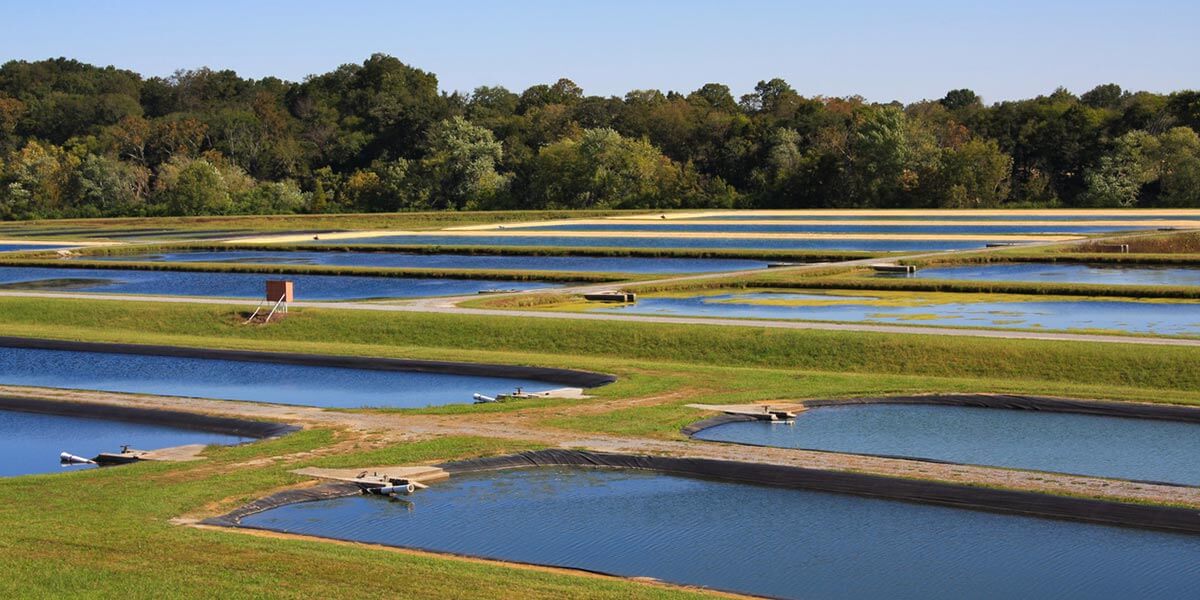 A fish hatchery influenced by the pros and cons of aquaculture in the 21st century 