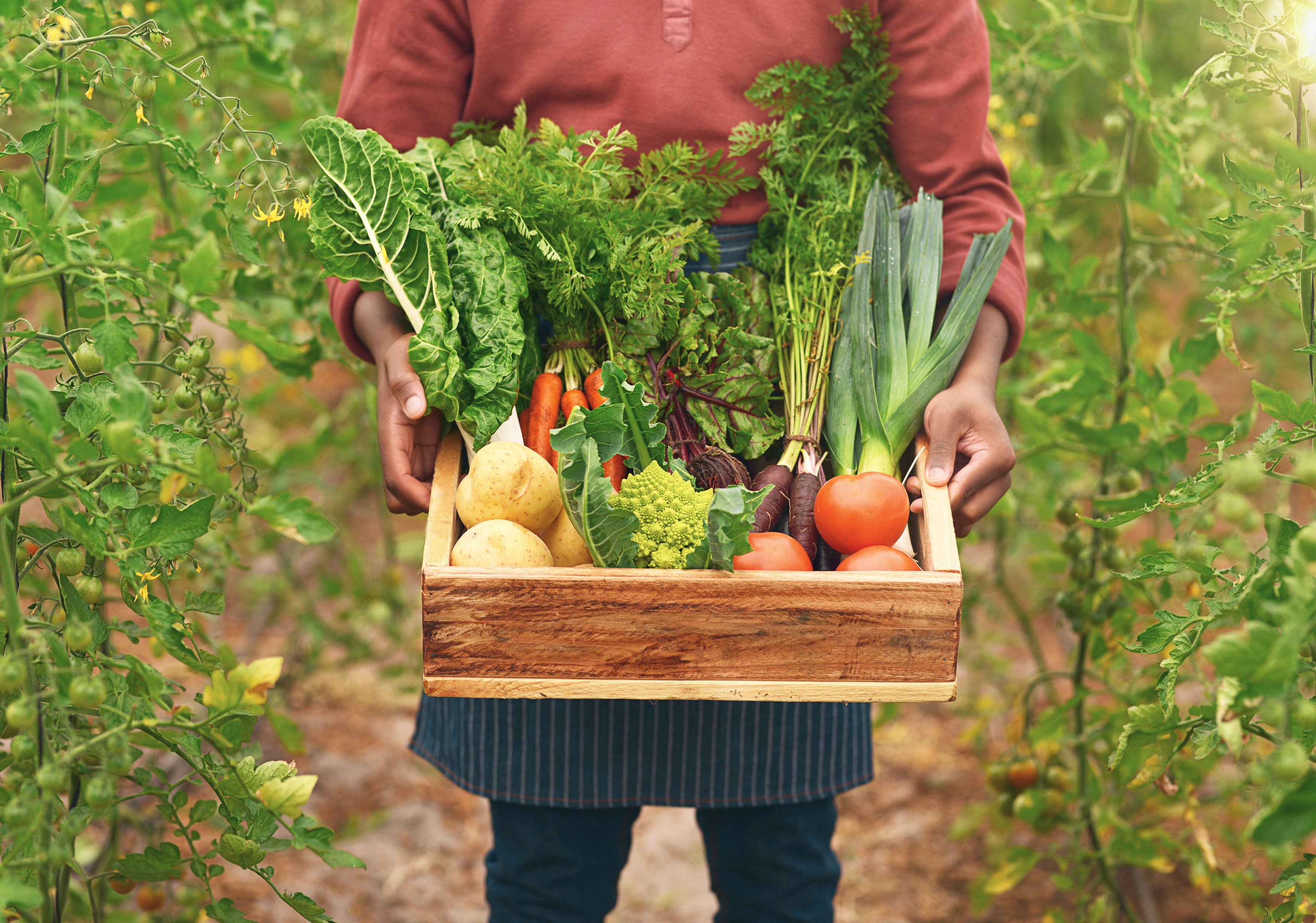 A company leading the transition to a circular economy for food. 