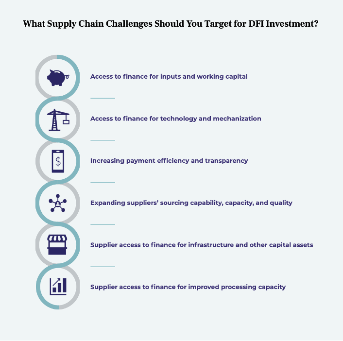 Potential supply chain challenges that can addressed with an Development Finance Institution (DFI) investment. 