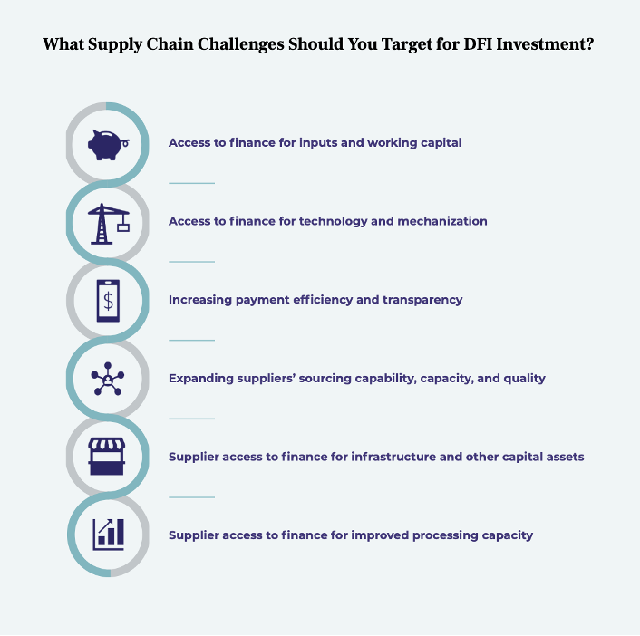 Potential supply chain challenges that can addressed with an Development Finance Institution (DFI) investment. 